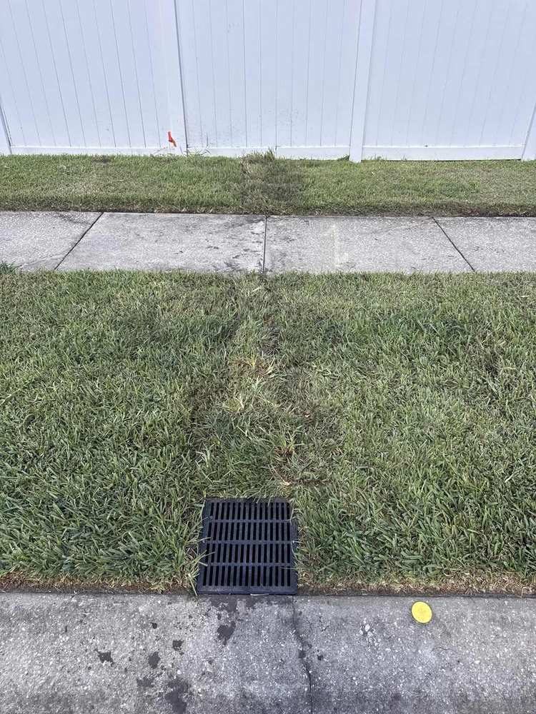 Restored turf over buried drain line with flush curb discharge